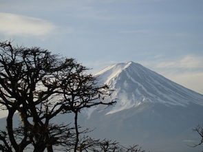 日本樱岛火山喷发，烟柱高达2700米