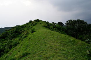 揭秘四姑娘山门票背后的生态与旅游价值，一次深度探访