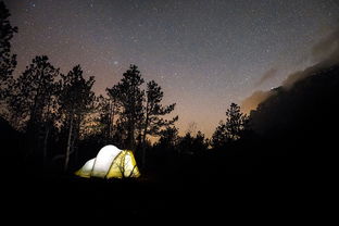 揭秘三清山门票全解析，揭秘背后的生态价值与旅游攻略