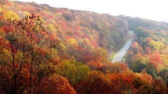 揭秘云端之巅，探访川西神秘瑰宝——贡嘎山旅游深度指南