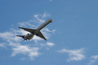 土耳其航空一飞行员执飞中死亡