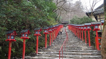 日本首相石破茂不参加靖国神社大祭，一种理性的选择