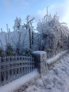 河南或现暴雪